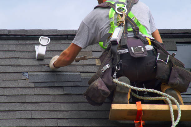 Best Roof Gutter Cleaning  in Elmo, TX
