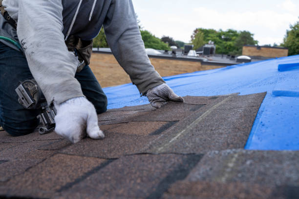 Best Storm Damage Roof Repair  in Elmo, TX