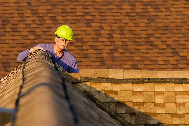 Roof Installation Near Me in Elmo, TX