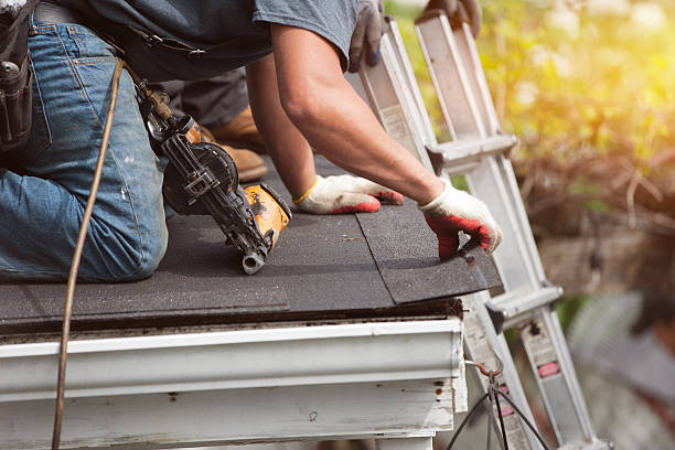Best Metal Roofing Contractor  in Elmo, TX
