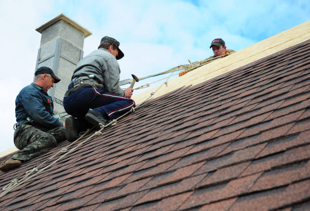 Best Residential Roofing Contractor  in Elmo, TX