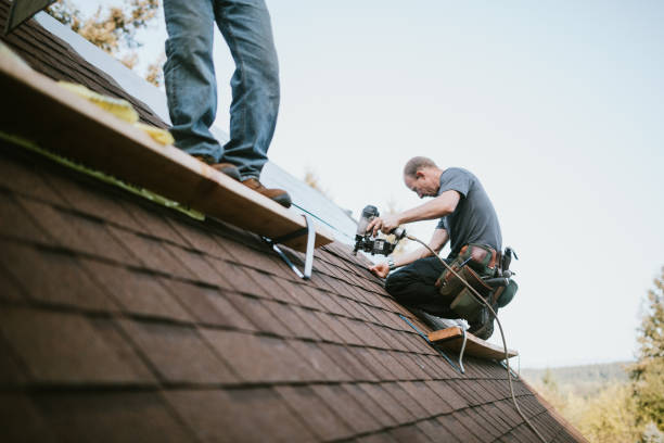 Best Storm Damage Roof Repair  in Elmo, TX