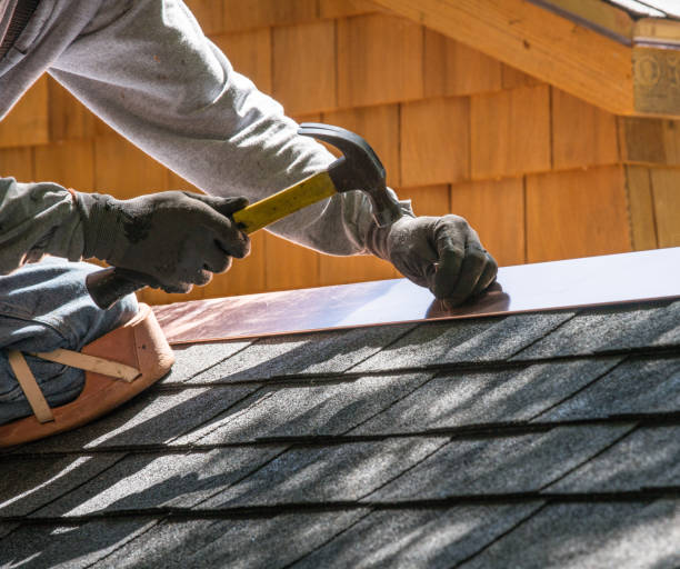 Best Shingle Roofing Installation  in Elmo, TX